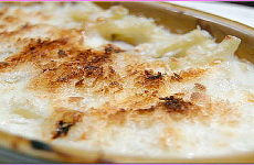 Macaroni Gratin マカロニグラタン